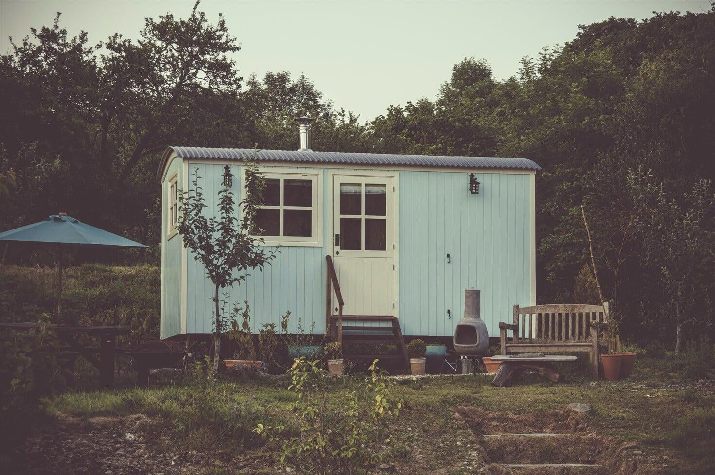 A small blue shed in the woods